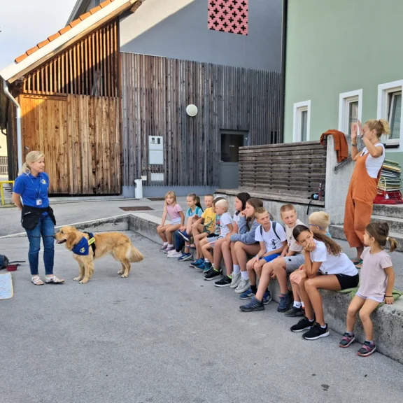 Otroški počitniški ŽIVŽAV - avgust 2025