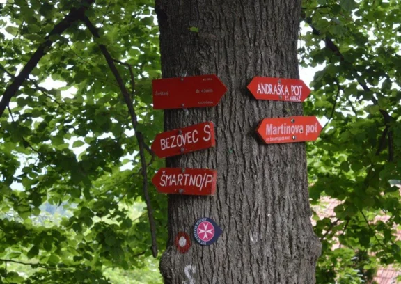 Planinske poti (Gora Oljka)