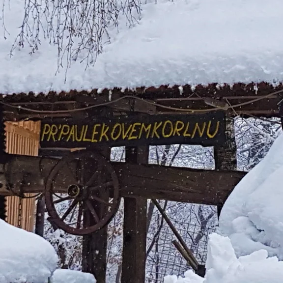 CELLAR PR' PAULEKOVEM KORLNU