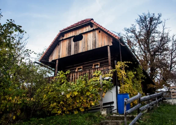 Zidanice in vinske kleti